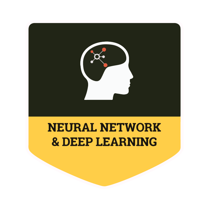 NEURAL NETWORKS & DEEP LEARNING 23-24